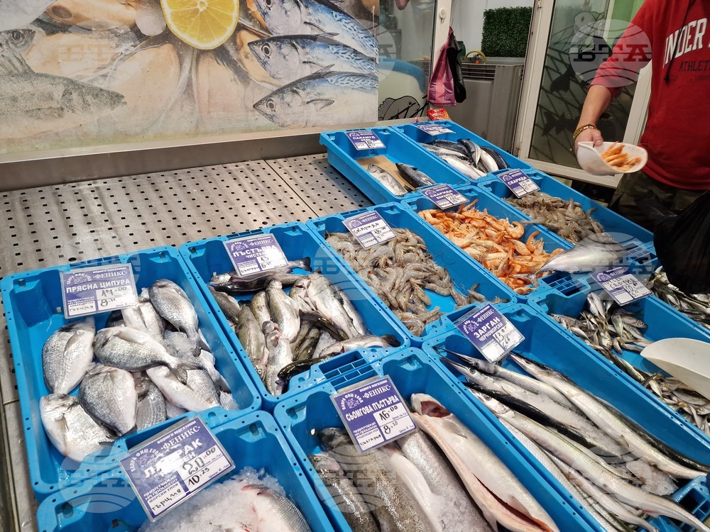 Бургас - Рибни пазари - цени