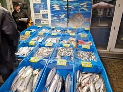 Бургас - Рибни пазари - цени