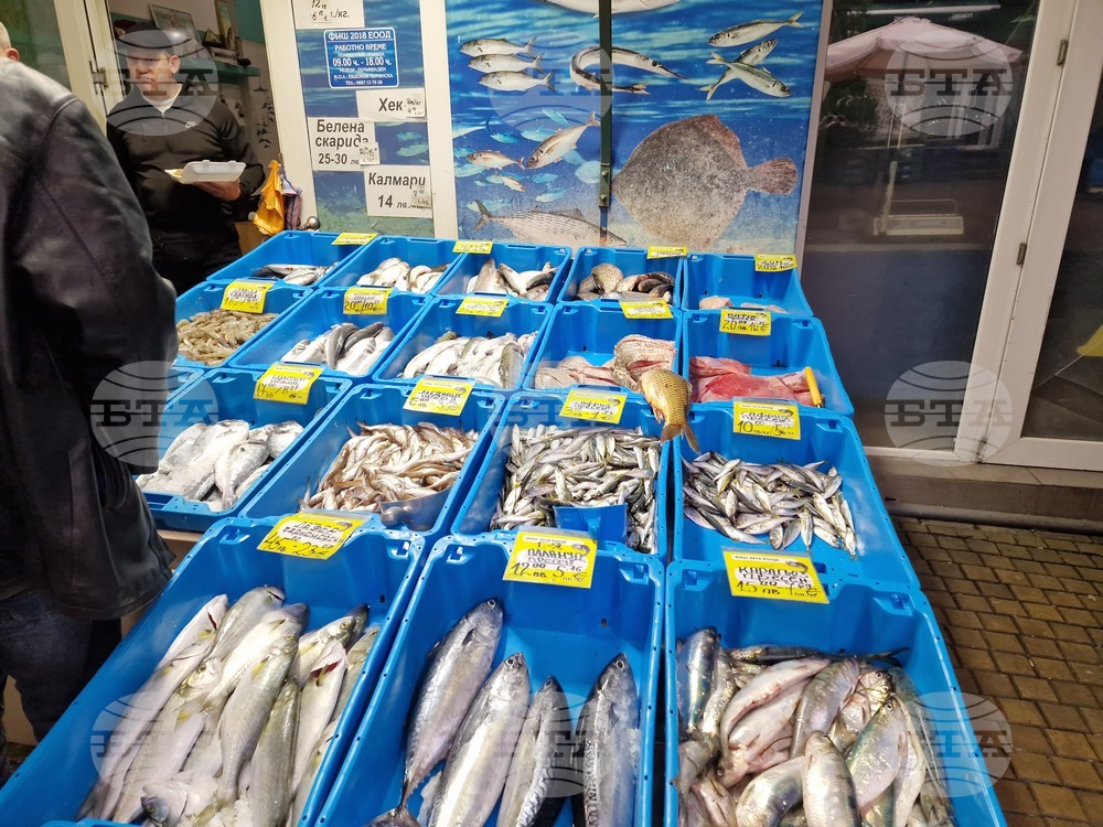 Бургас - Рибни пазари - цени