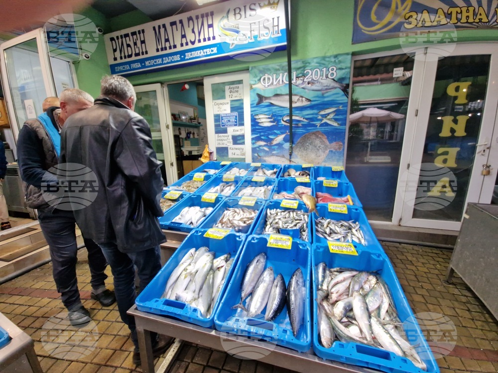 Сафрид за няколко лева и калкан за 40: Какви риби ще се продават за Никулден в Бургас