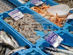 Бургас - Рибни пазари - цени