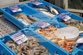 Бургас - Рибни пазари - цени