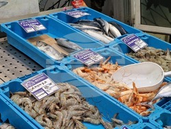 Бургас - Рибни пазари - цени