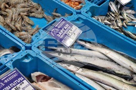 Бургас - Рибни пазари - цени