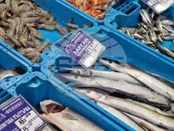 Бургас - Рибни пазари - цени