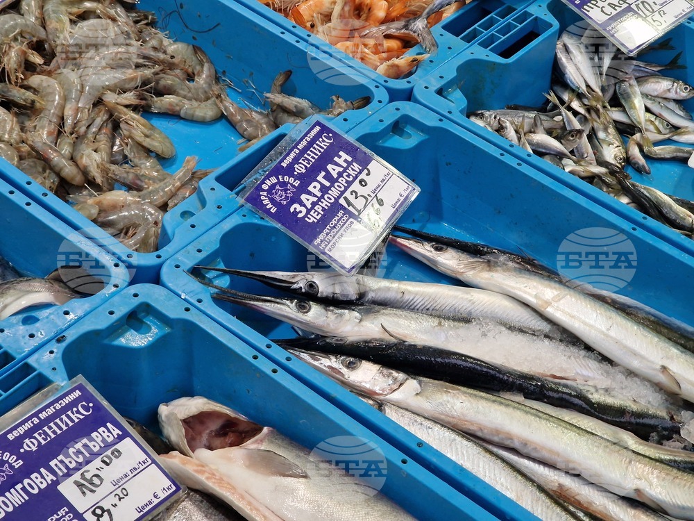Бургас - Рибни пазари - цени