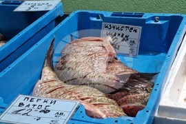 Бургас - Рибни пазари - цени