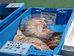 Бургас - Рибни пазари - цени