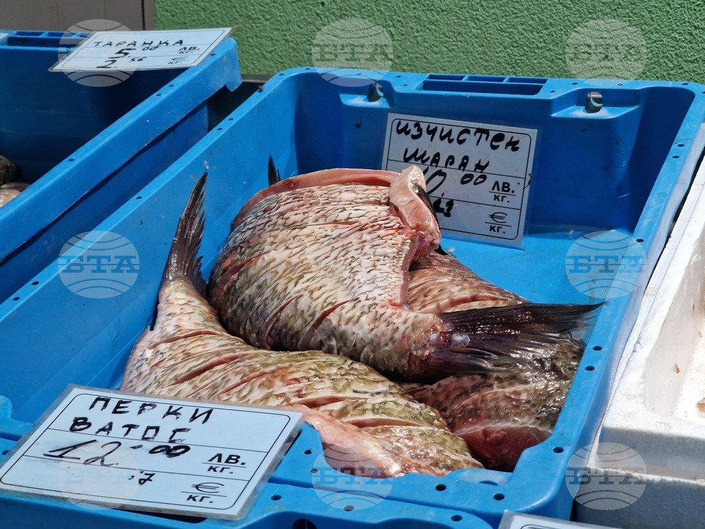 Бургас - Рибни пазари - цени