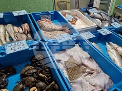 Бургас - Рибни пазари - цени