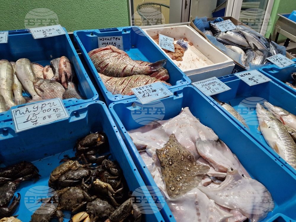 Бургас - Рибни пазари - цени