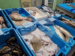 Бургас - Рибни пазари - цени