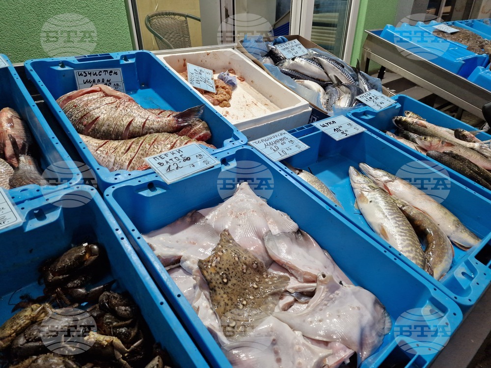 Бургас - Рибни пазари - цени