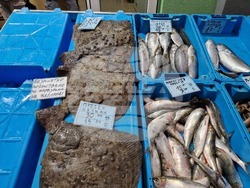 Бургас - Рибни пазари - цени