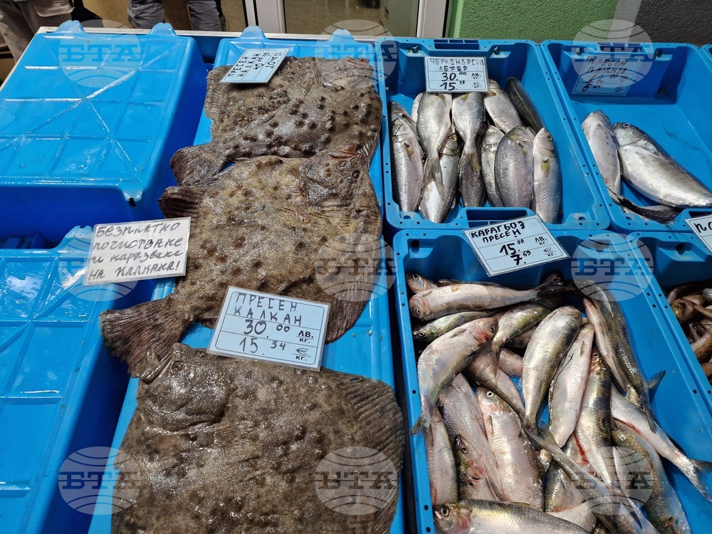 Бургас - Рибни пазари - цени