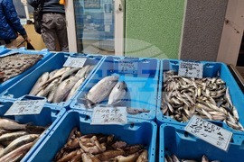 Бургас - Рибни пазари - цени