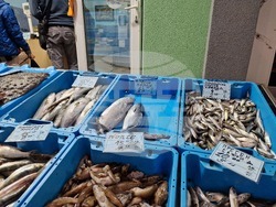 Бургас - Рибни пазари - цени