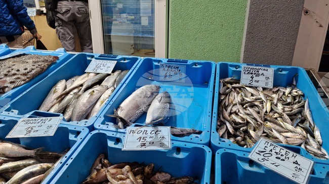 Държавната агенция за метрологичен и технически надзор започва засилени проверки на везните в рибните магазини и борси преди Никулден