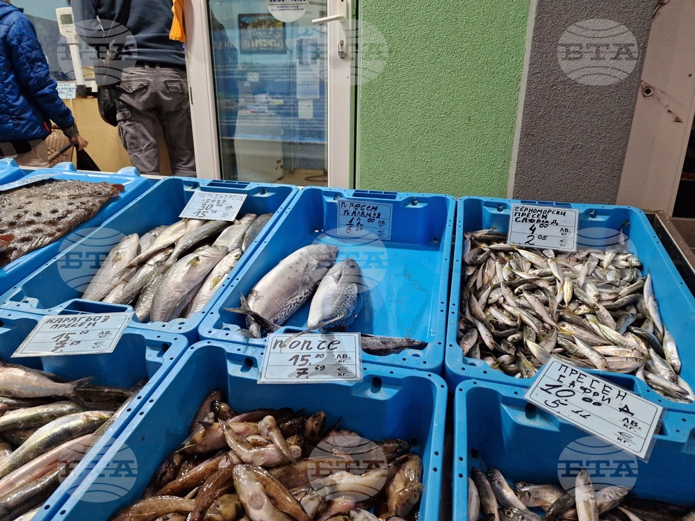 Държавната агенция за метрологичен и технически надзор започва засилени проверки на везните в рибните магазини и борси преди Никулден