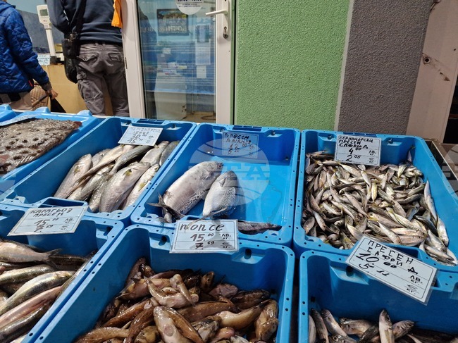 Държавната агенция за метрологичен и технически надзор започва засилени проверки на везните в рибните магазини и борси преди Никулден