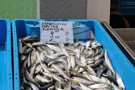 Бургас - Рибни пазари - цени