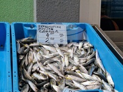 Бургас - Рибни пазари - цени