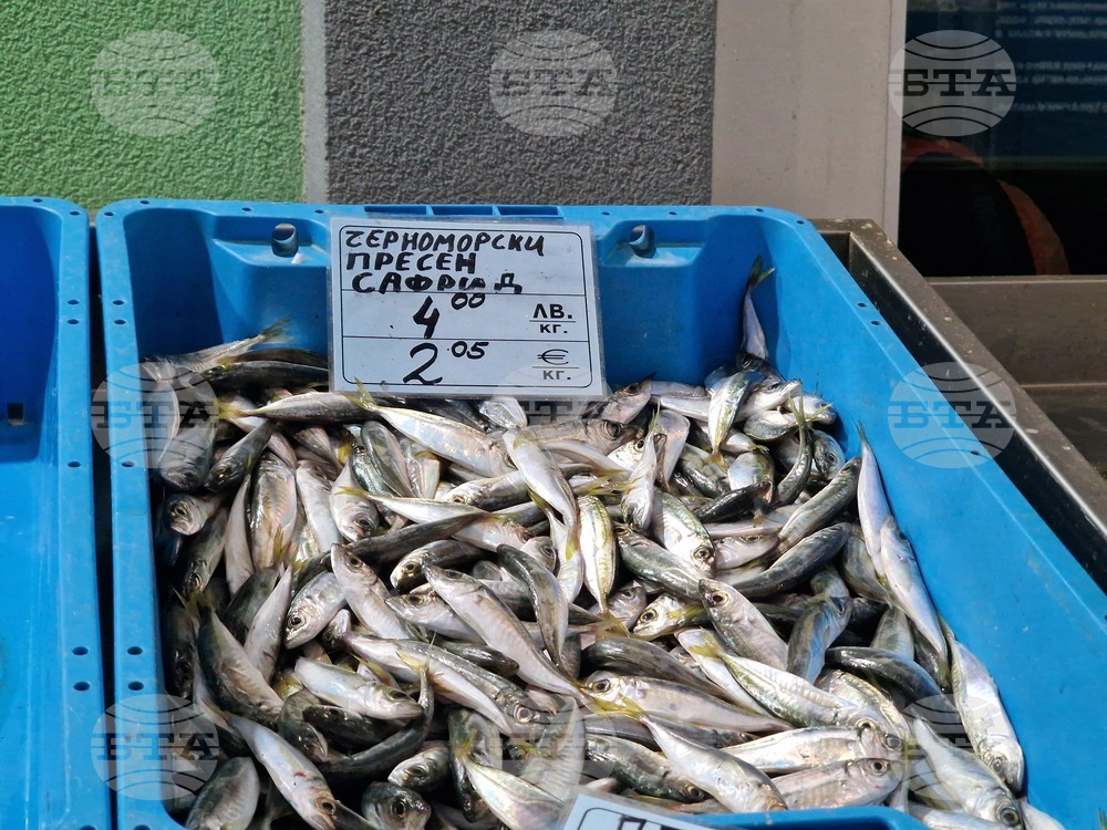Бургас - Рибни пазари - цени