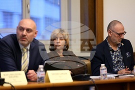 Народно събрание - Комисия по културата и медиите