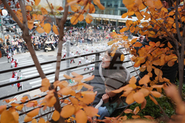 Macy's Thanksgiving Day Parade