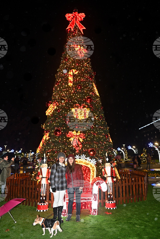 Светлините на коледната елха в Монтана бяха запалени, преди това имаше концерт и 3D мапинг