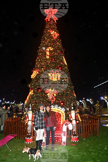 Светлините на коледната елха в Монтана бяха запалени, преди това имаше концерт и 3D мапинг