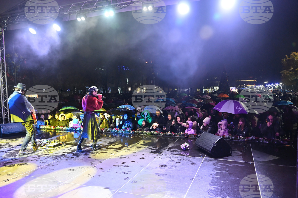 Монтана - коледна елха - тържество