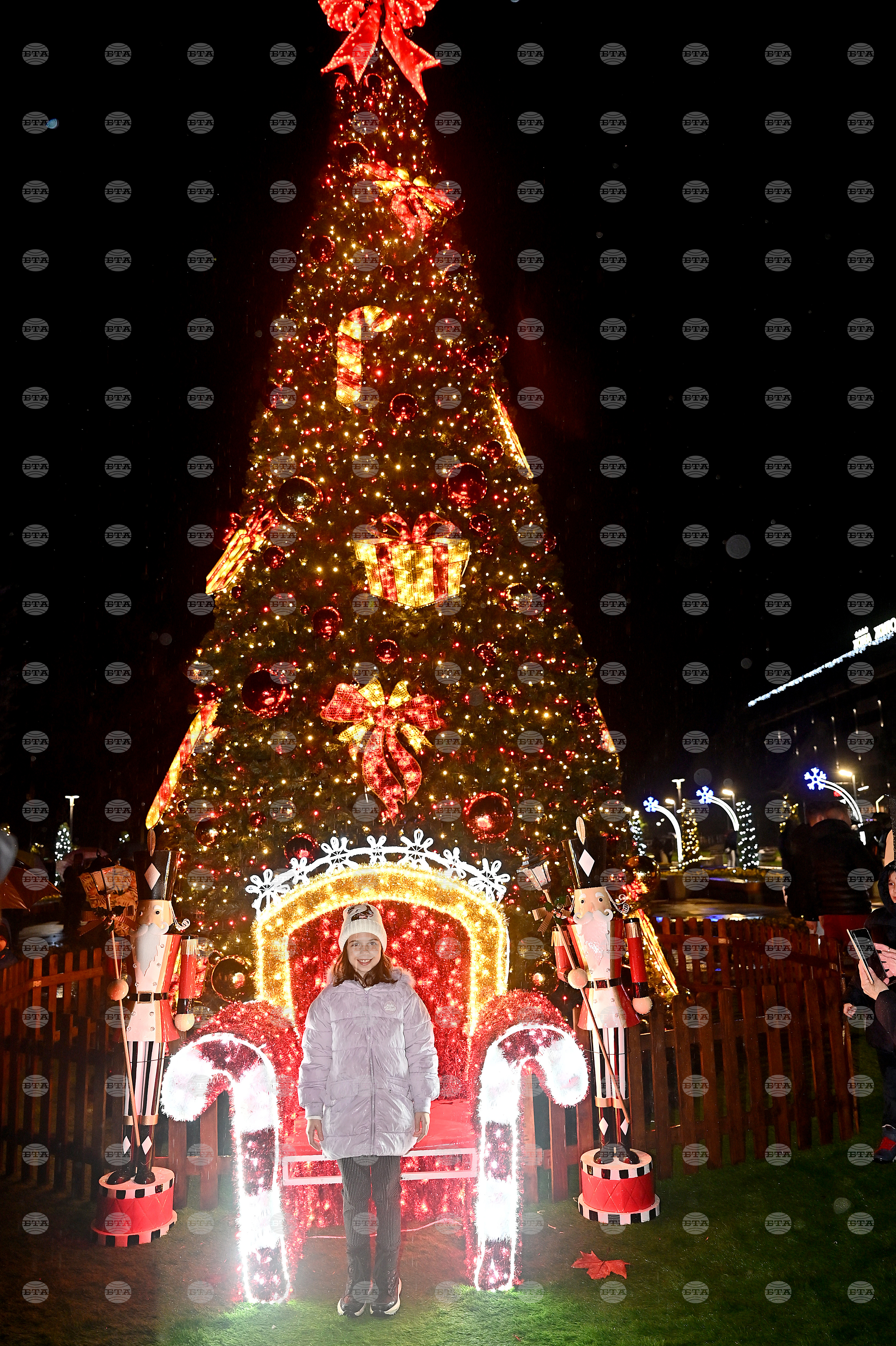 Монтана - коледна елха - тържество