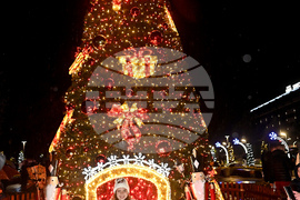 Монтана - коледна елха - тържество