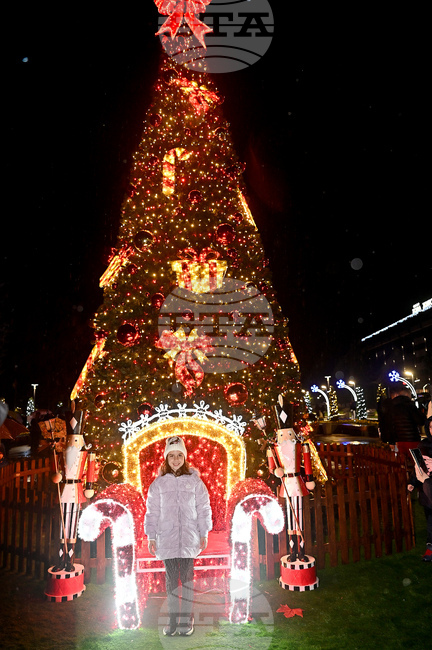 Монтана - коледна елха - тържество