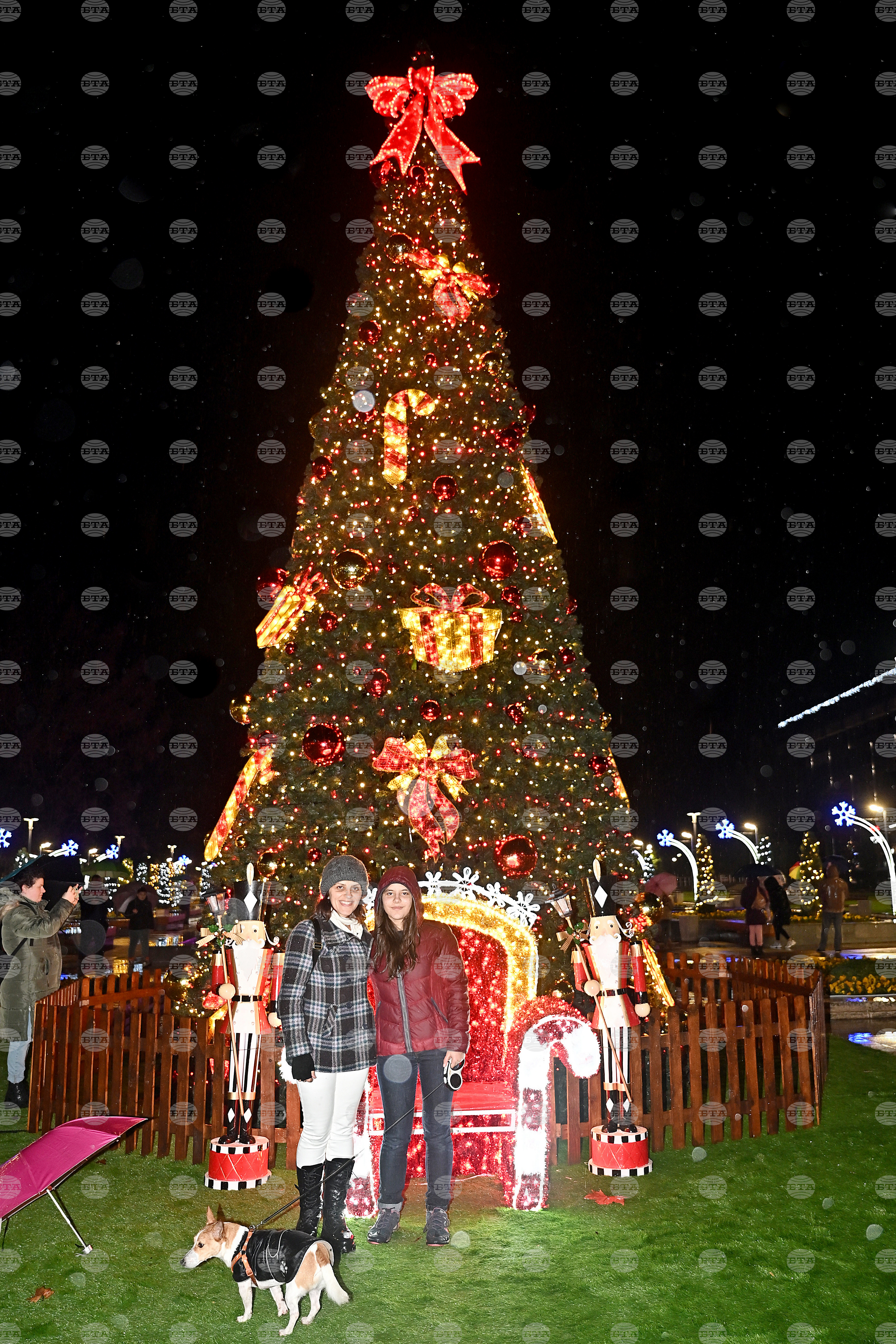 Монтана - коледна елха - тържество