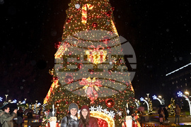 Монтана - коледна елха - тържество