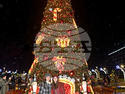 Монтана - коледна елха - тържество