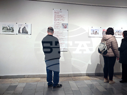 Габрово - изложба - Калин Николов