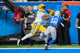 APTOPIX Packers Lions Football