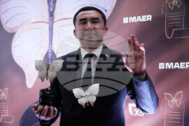 Russia Diamond Butterfly Movie Award