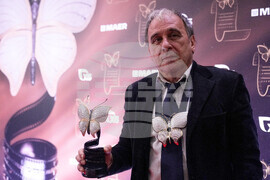 Russia Diamond Butterfly Movie Award