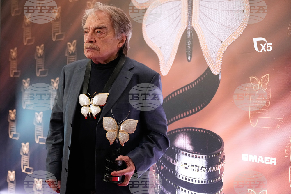 Russia Diamond Butterfly Movie Award