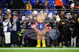 Bengals Ravens Football