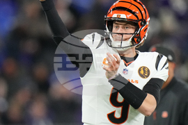 Bengals Ravens Football