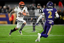 Bengals Ravens Football