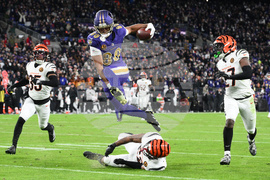 APTOPIX Bengals Ravens Football
