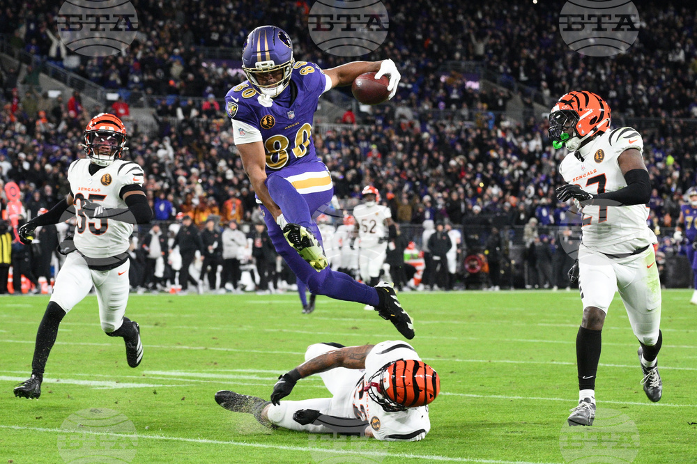 APTOPIX Bengals Ravens Football