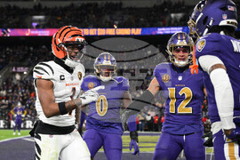 Bengals Ravens Football