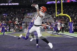 APTOPIX Bengals Ravens Football